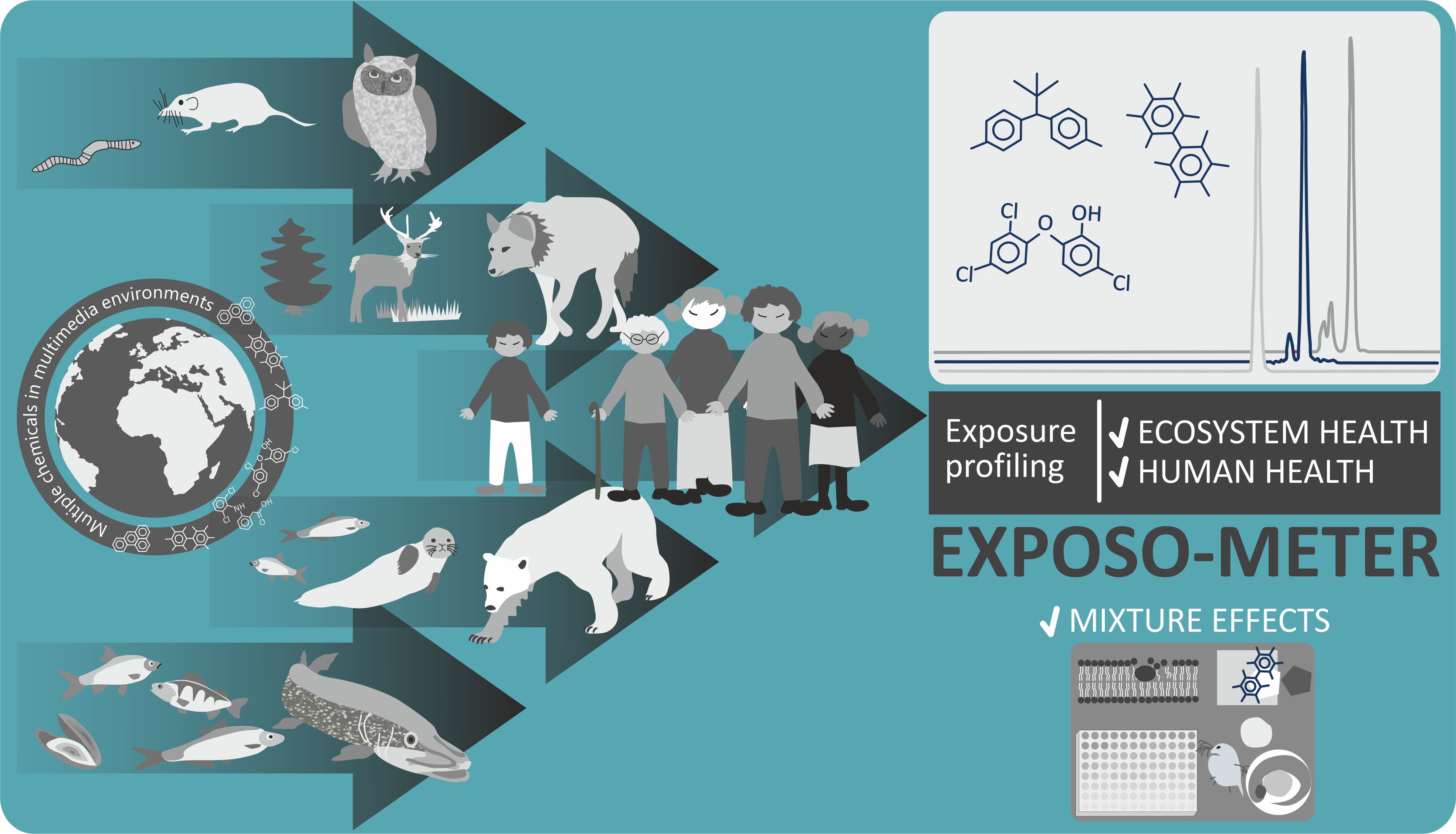 Graphical outline of EXPOSO-METER.